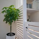 Appartement Coconut Blue