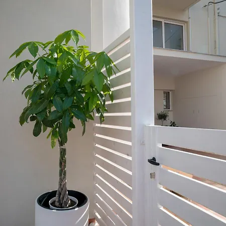 Διαμέρισμα Coconut Blue