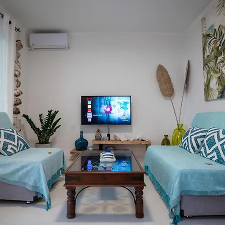 Coconut Blue * Ιτέα