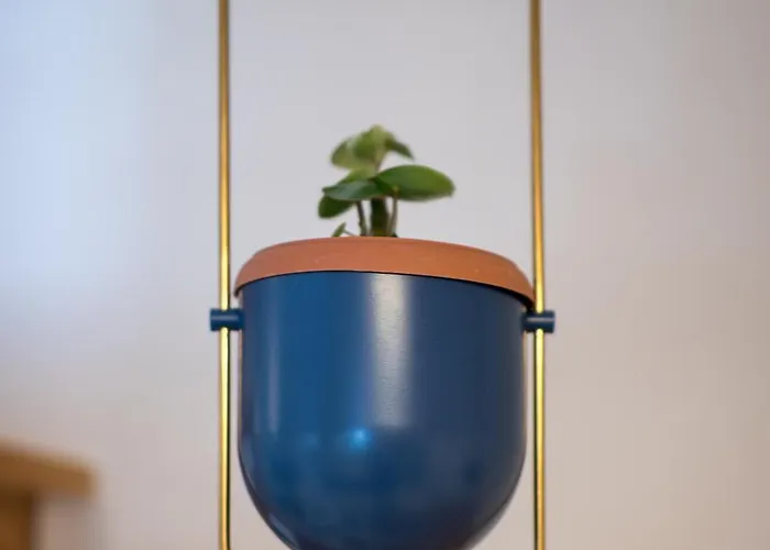 Coconut Blue Appartamento Itea